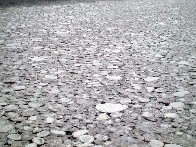 Pancake ice landscape 1.jpg - OLYMPUS DIGITAL CAMERA